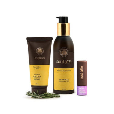 https://cdn.shopify.com/s/files/1/1857/6931/products/KBEenVtFV9.jpg?v=1629721423